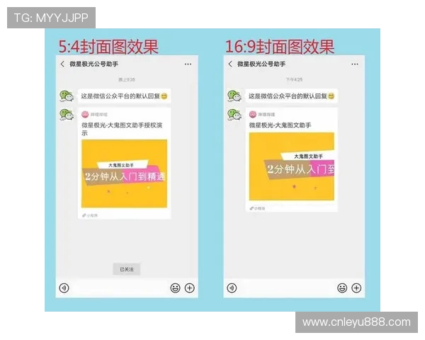 乐鱼助手小程序全面提升游戏体验的实用指南与操作技巧